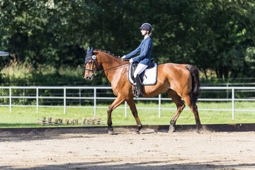 Bild 243 - Pony Akademie Turnier